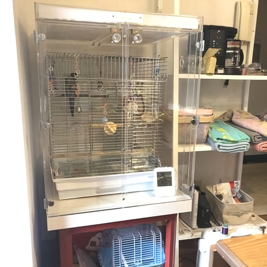 �A�N�����P�[�X��IKEA�̃e�[�u���ɐݒu