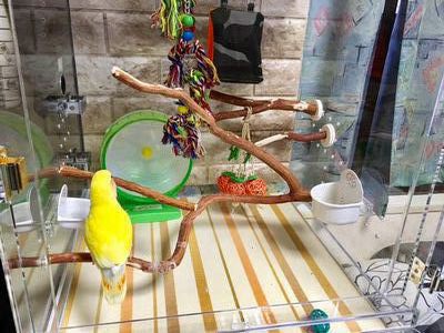 �A�N�����P�[�X�w�ʂɃ����K���V�[�g