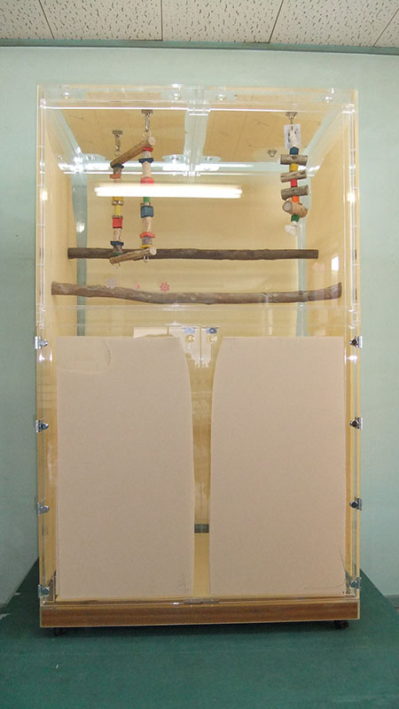 ��^�C���R�p�̃A�N�����P�[�X