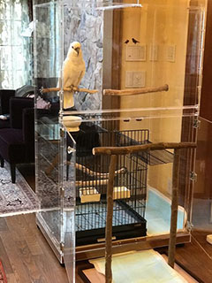 大型アクリルケース