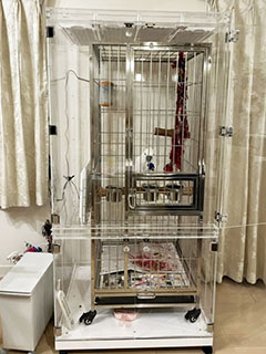 大型アクリルケース　えとぴりかSLPC150