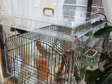 ���̓v�b�V�����}�O�l�b�g