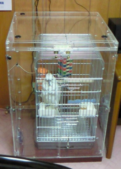 �A�I���L�o�^���̃A�N�����P�[�X