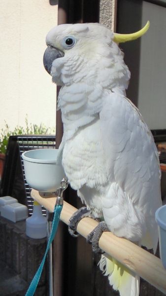 �~�܂�؃X�^���h�ɏ��A�I���L�o�^��