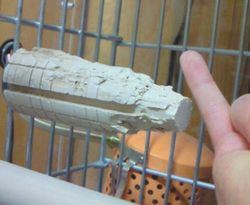 ꖂ����~�܂��