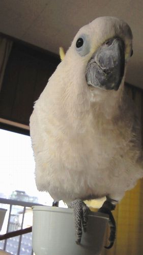 �A�I���L�o�^��