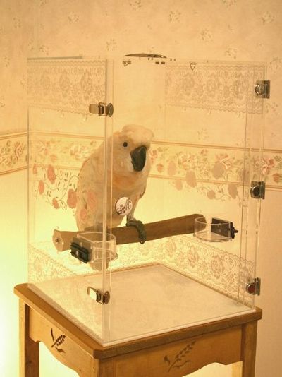 オオバタンのキャリーケース