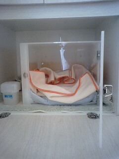 �I�J���C���R�̃L�����[�P�[�X