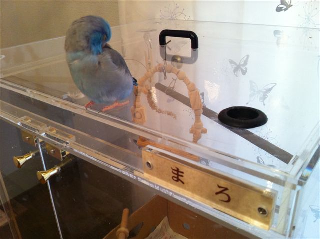 �H�ɓ���˂�����Ŗ���