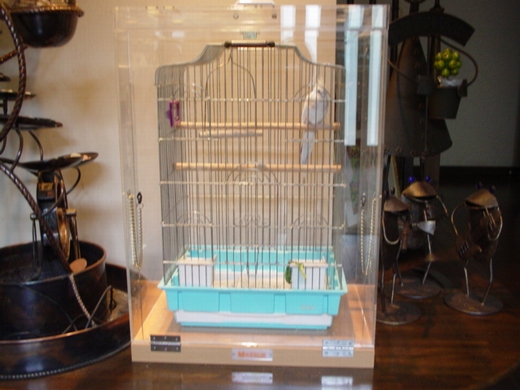 �I�J���C���R�̒���������ꂽ�A�N�����P�[�X