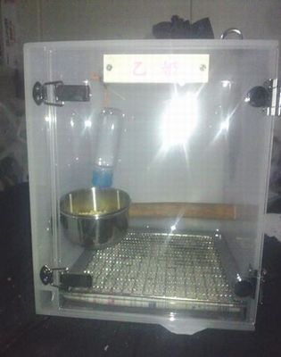 �C���R�̃L�����[�P�[�X