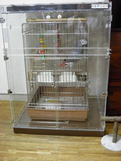 ���E���̒���������ꂽ�A�N�����P�[�X