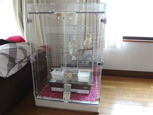 �C���R�̎����΍�Ɍ��ʓI