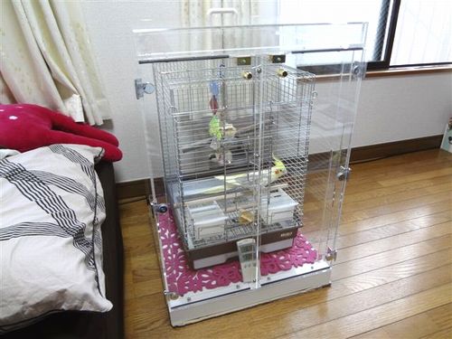 �I�J���C���R�̒���������ꂽ�A�N�����P�[�X