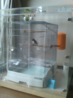 �c�o���̕ۉ�