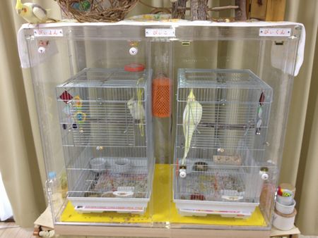 鳥かごが2台入るアクリルケース