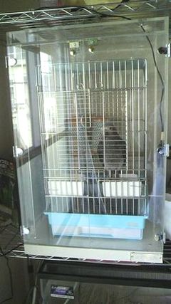 ���E���̒��������������A�N�����P�[�X