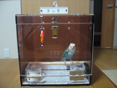 コザクラインコのアクリルキャリー