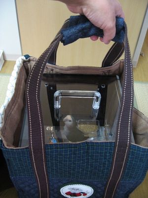 キャリーバッグに入れて、新幹線へ