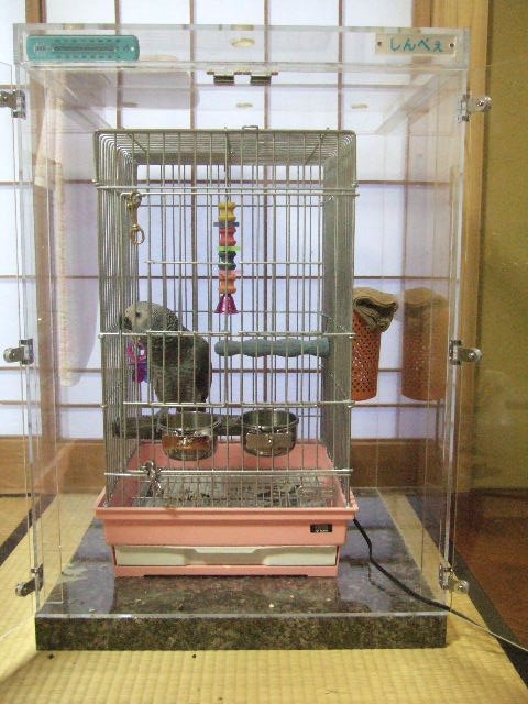 ���E���̒���������ꂽ�A�N�����P�[�X