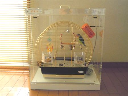 �{�^���C���R�̒���������ꂽ�A�N�����P�[�X