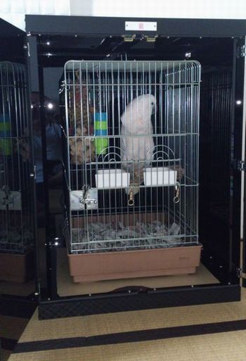 黒アクリル製のインコ用のケース