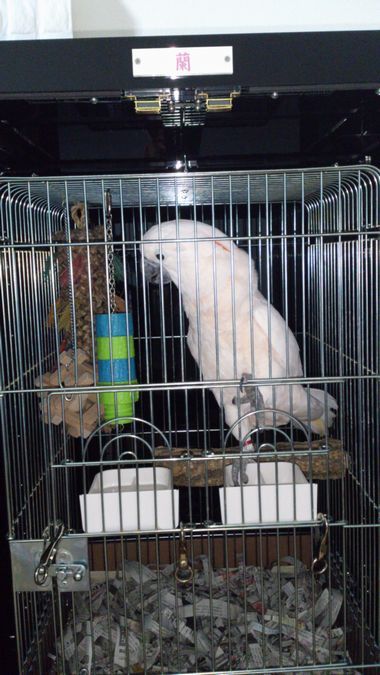 黒アクリルで光を遮断