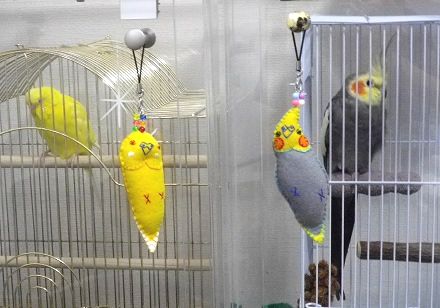 ツマミにぶら下げたインコグッズ