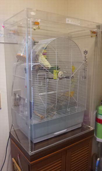 オカメインコのアクリルケース 保温目的