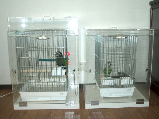 鳥かごを入れたアクリルケース