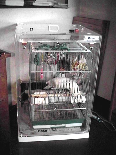 �^�C�n�N�I�E���̒���������ꂽ�A�N�����P�[�X