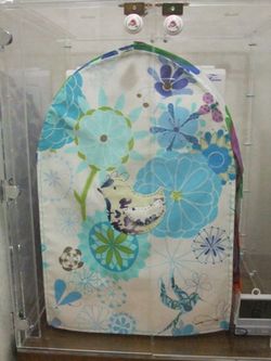 ����̂��x�݃J�o�[