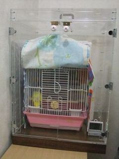 �a��H�ׂ�R�U�N���C���R