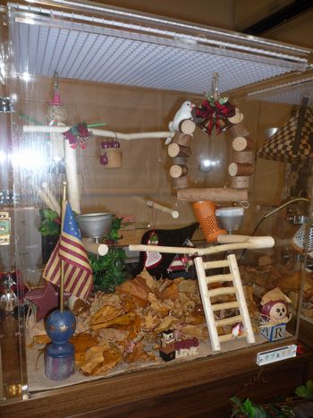 �����p�̃A�N�����P�[�X