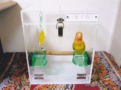 �������p�ɃL�����[���w��