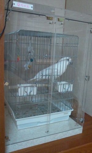 �p���_�R�J�g�D�̃A�N�����P�[�X�@�h���ړI