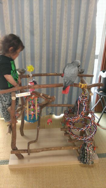 ���E���ƗV�Ԏq��