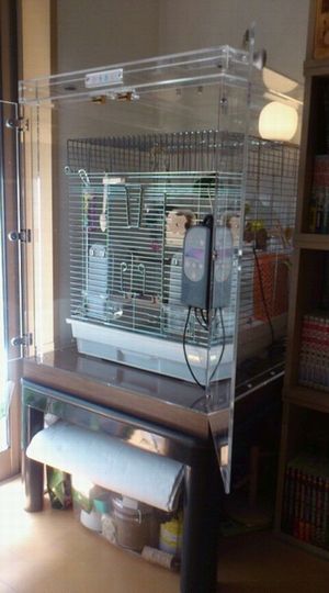 �I�J���C���R�̒���������ꂽ�A�N�����P�[�X