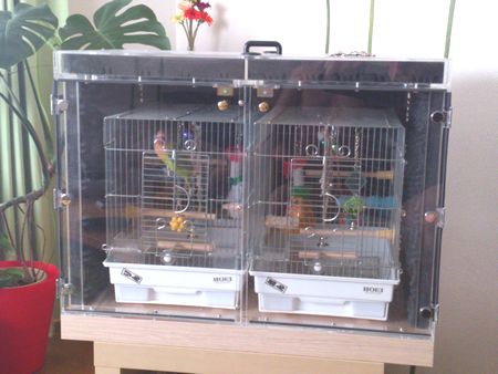 �A�N�����P�[�X�ɋz���ސݒu