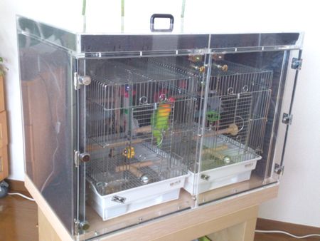 �z���ސݒu�ŃC���R�̖������ɘa