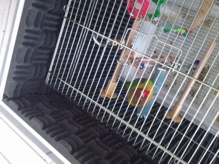 �z���ނ�\�����ǖ�