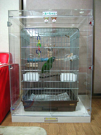 �C���R�̒���������ꂽ�A�N�����P�[�X