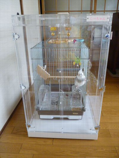 オカメインコの鳥かごを入れたアクリルケース
