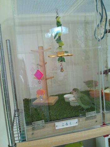 アクリルケースの底に人工芝