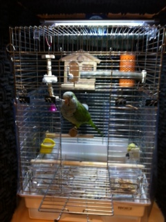 LED�ŁA�P�[�X�������C�g�A�b�v