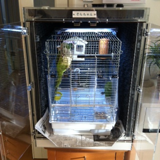 �C���R�̖����΍�@�z����