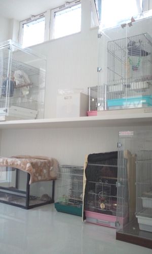 生き物専用の部屋