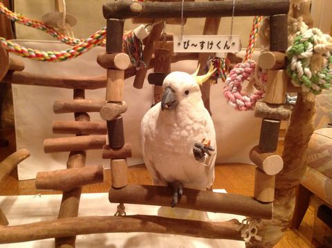 �u�����R�ɏ��L�o�^��