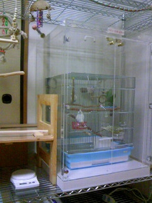 �Z�L�Z�C�C���R�̃A�N�����P�[�X