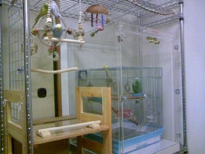 �A�N�����P�[�X�ŉa�̔�юU��h�~